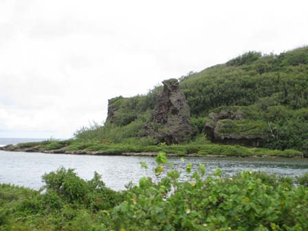 �O�A���P�P