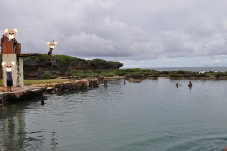 �O�A���P�R