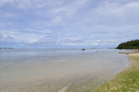 �O�A���Q�Q