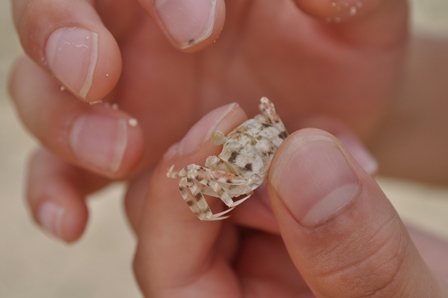 �O�A���Q�S