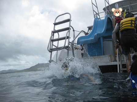 �O�A���P�V