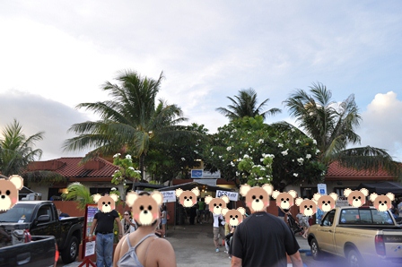 �O�A���P�X