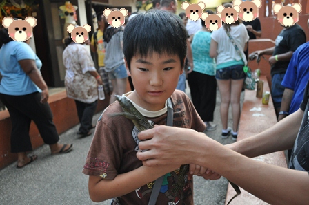 �O�A���Q�O