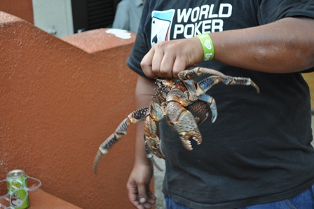 �O�A���Q�P