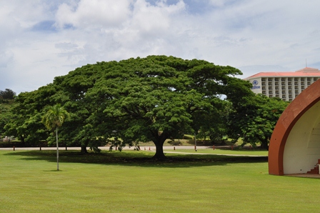 �O�A���Q�O