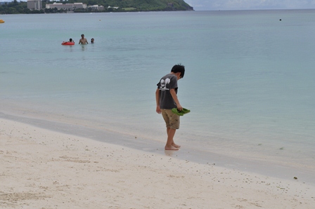 �O�A���P�S