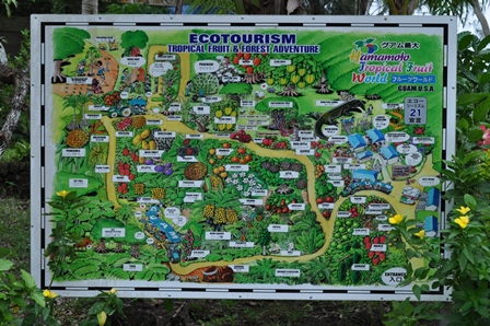 �O�A���P�O