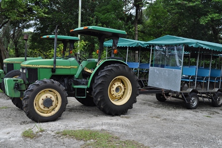 �O�A���P�R