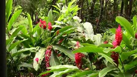 �O�A���P�U