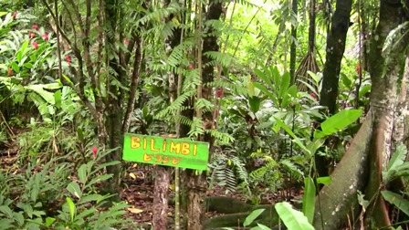 �O�A���P�V