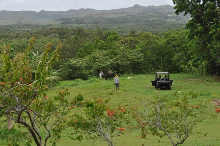 �O�A���R�P