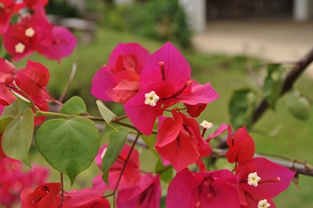 �O�A���R�T