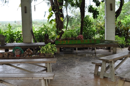 �O�A���R�V