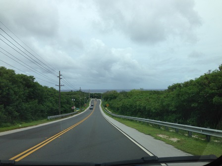 �O�A���R�X