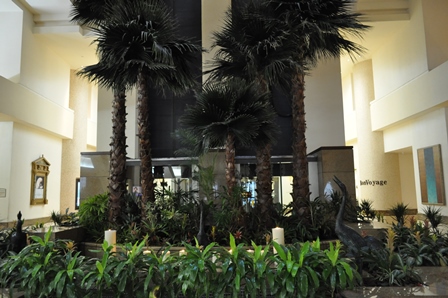 �O�A���U�P