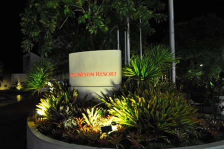 �O�A���U�X