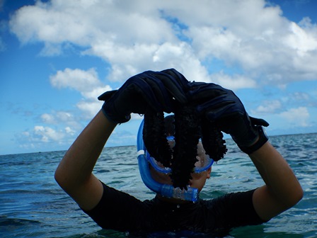 �O�A���P�P