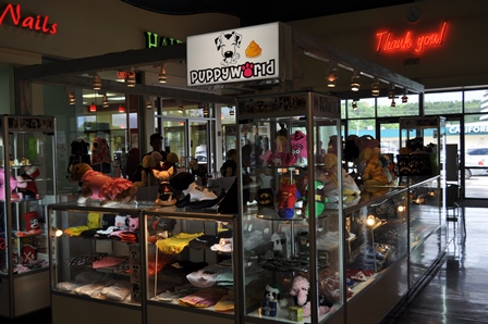 �O�A���Q�U