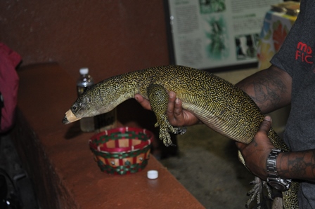 �O�A���S�R