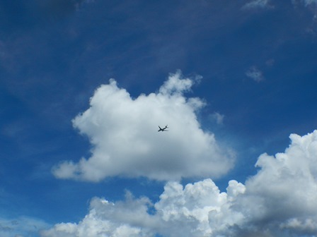 �O�A���P�W