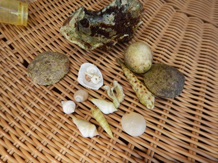 �O�A���Q�O