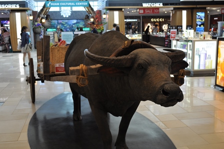 �O�A���R�S