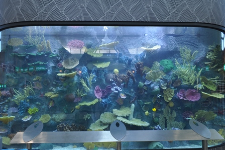 �O�A���R�U