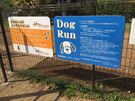 �����P�O