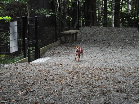 �����Q�R