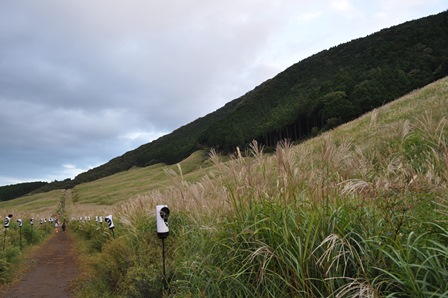 �����Q�T