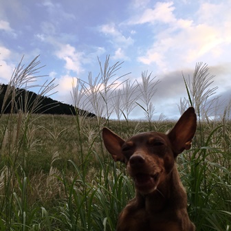 �����Q�U