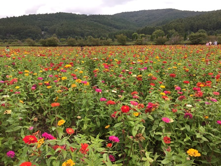 �����Q�R