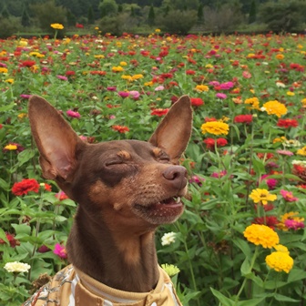 �����Q�S