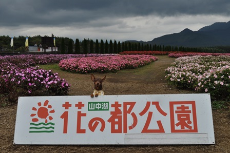 �����Q�T