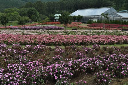 �����Q�U