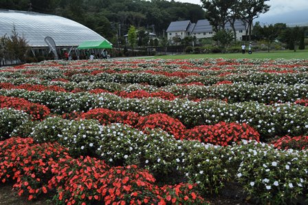 �����Q�V