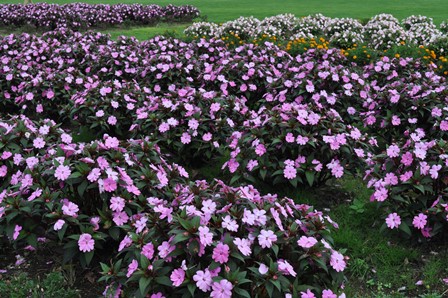 �����Q�W