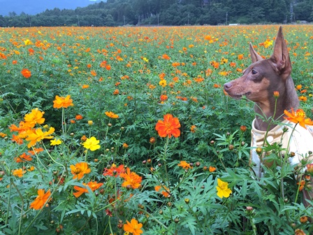 �����Q�X