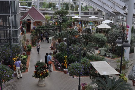 �����R�O