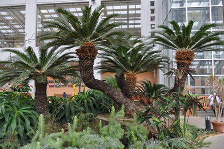 �����R�P