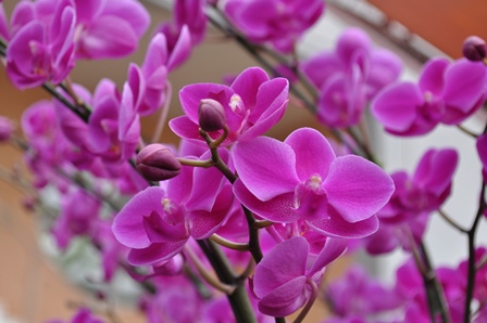 �����R�Q