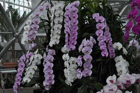 �����R�R