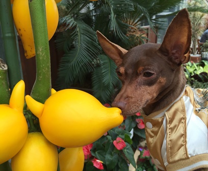 �����R�S