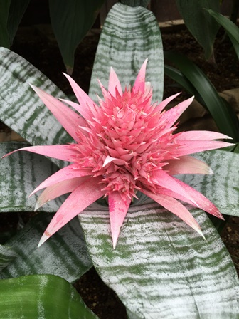 �����R�T