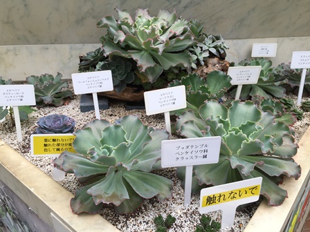 �����R�V