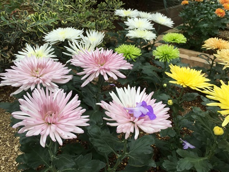 �����R�W