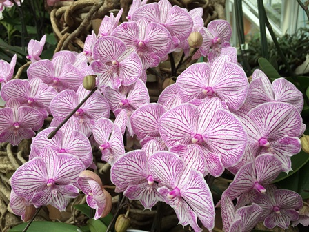 �����R�X