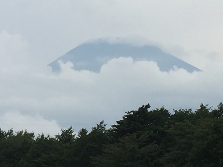 �����S�O