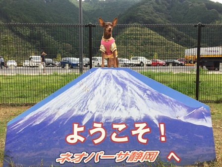 �����P�X