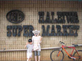 �n���C���Q